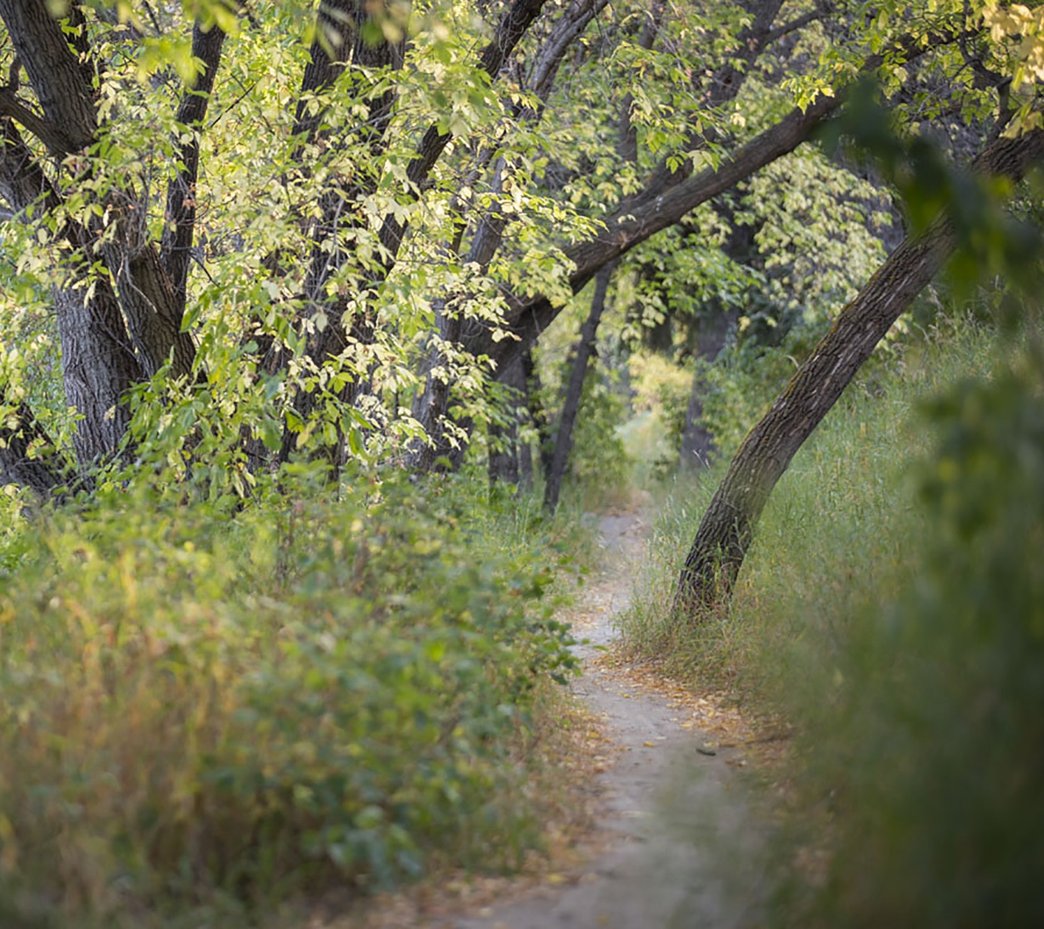 The City of Saskatoon — photography by Karee Davidson